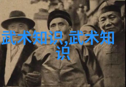 一品二品三品中文字幕我是你的字幕君揭秘那些隐藏在影视角落的珍贵字句