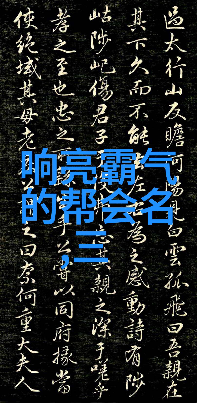霸道风云最霸气帮派岳家拳秘笈