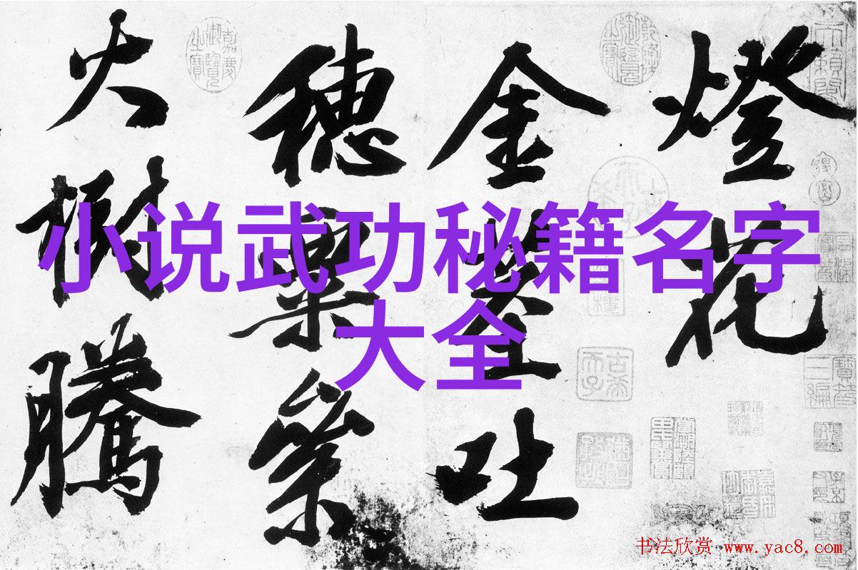 武功秘籍大全揭秘古老招式拳法之图解指南