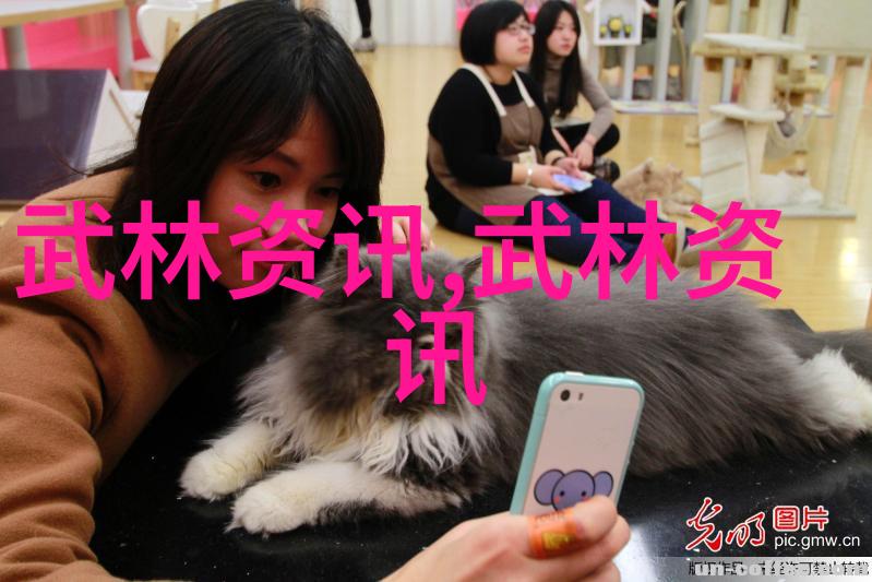 传承与变革新时代武侠文化中的老旧与新的融合