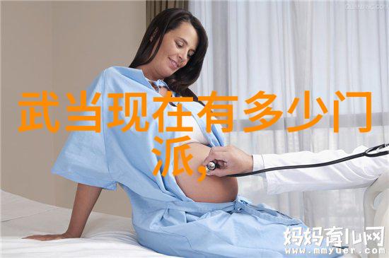在武林的巅峰之争中哪个门派的武功最为绝伦
