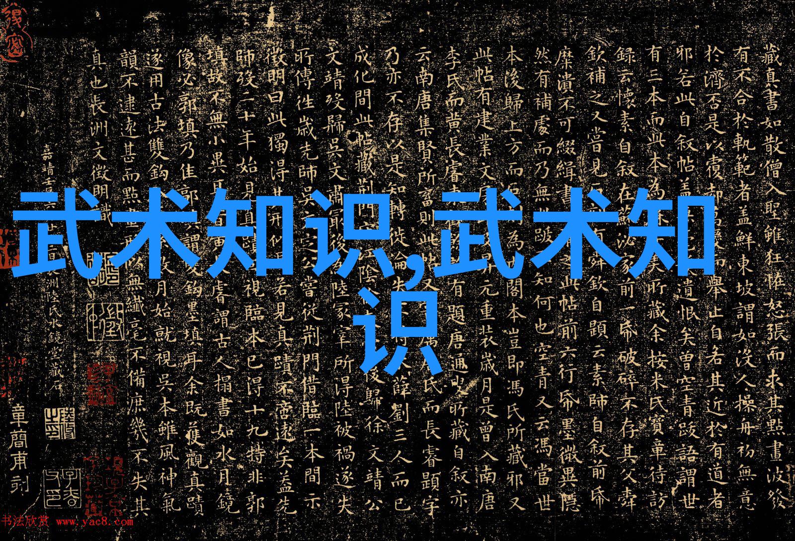 从基础到精英跟随李小龍教授学习武术全过程