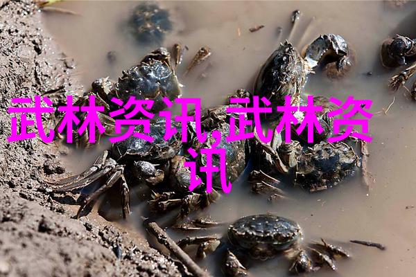 世界杯排球赛双手正面传球技巧揭秘 排球基础入门教程高清视频