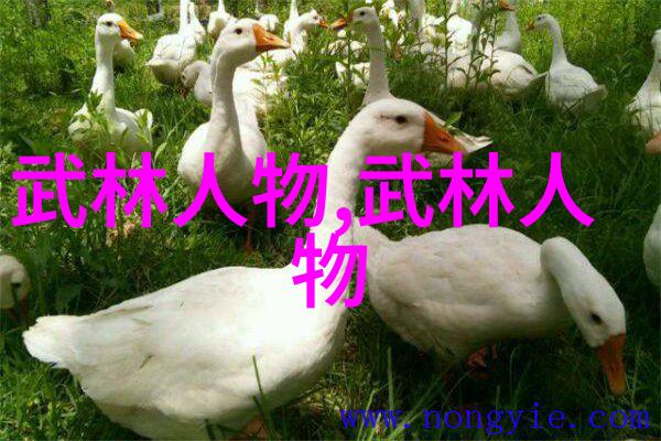 轻功之谜解锁体内风暴