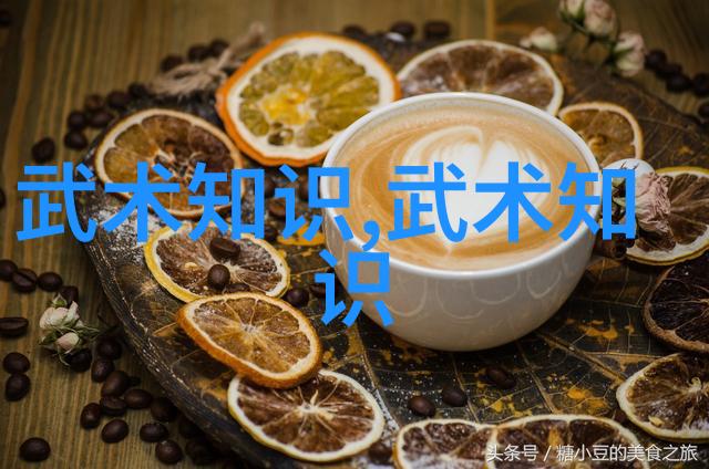 中国功夫秘籍大全揭秘内家绝技