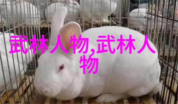 天下第一揭秘最强武功的秘密