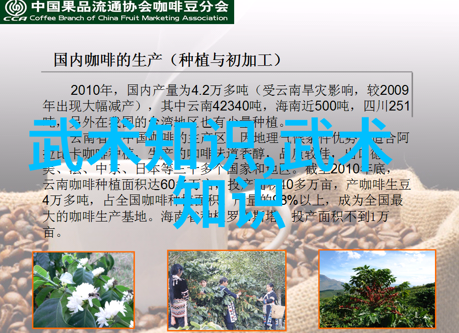 现存门派人物中的离合拳艺术