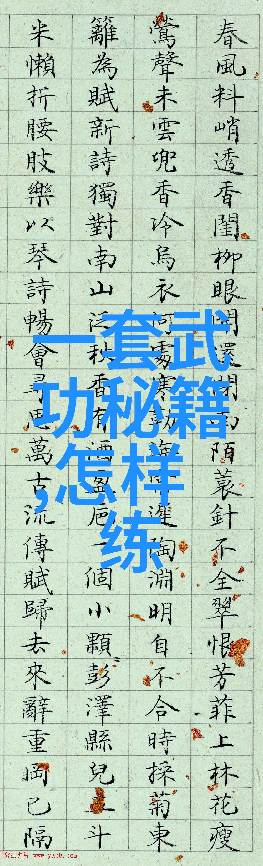 武学之路自学武术书籍指南