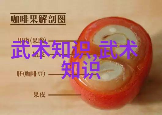 女将传球舞下手发球排球基础入门教程高清视频
