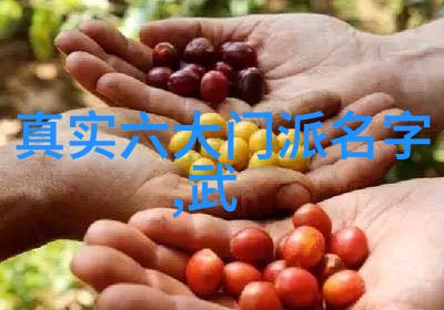江苏武林之谜隐藏在古城墙后的秘密门派有哪些