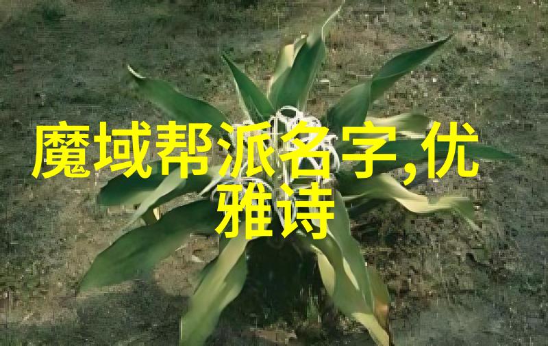 武学秘笈隐世古籍中的拳法修炼之道