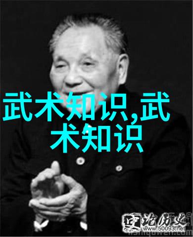 武林门派之主掌门人的故事与神秘