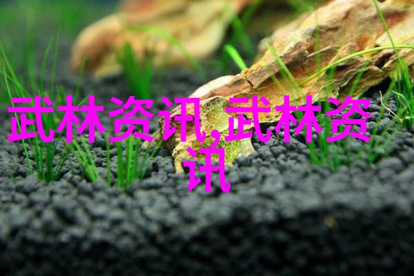 管理冲突与争吵提升婚姻质量的策略