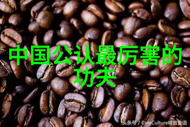 一路走来一招学会流派介绍与实战技巧
