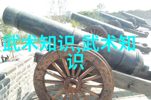 蛙泳臂部动作游泳池尺寸之谜深入解剖探寻其奥秘