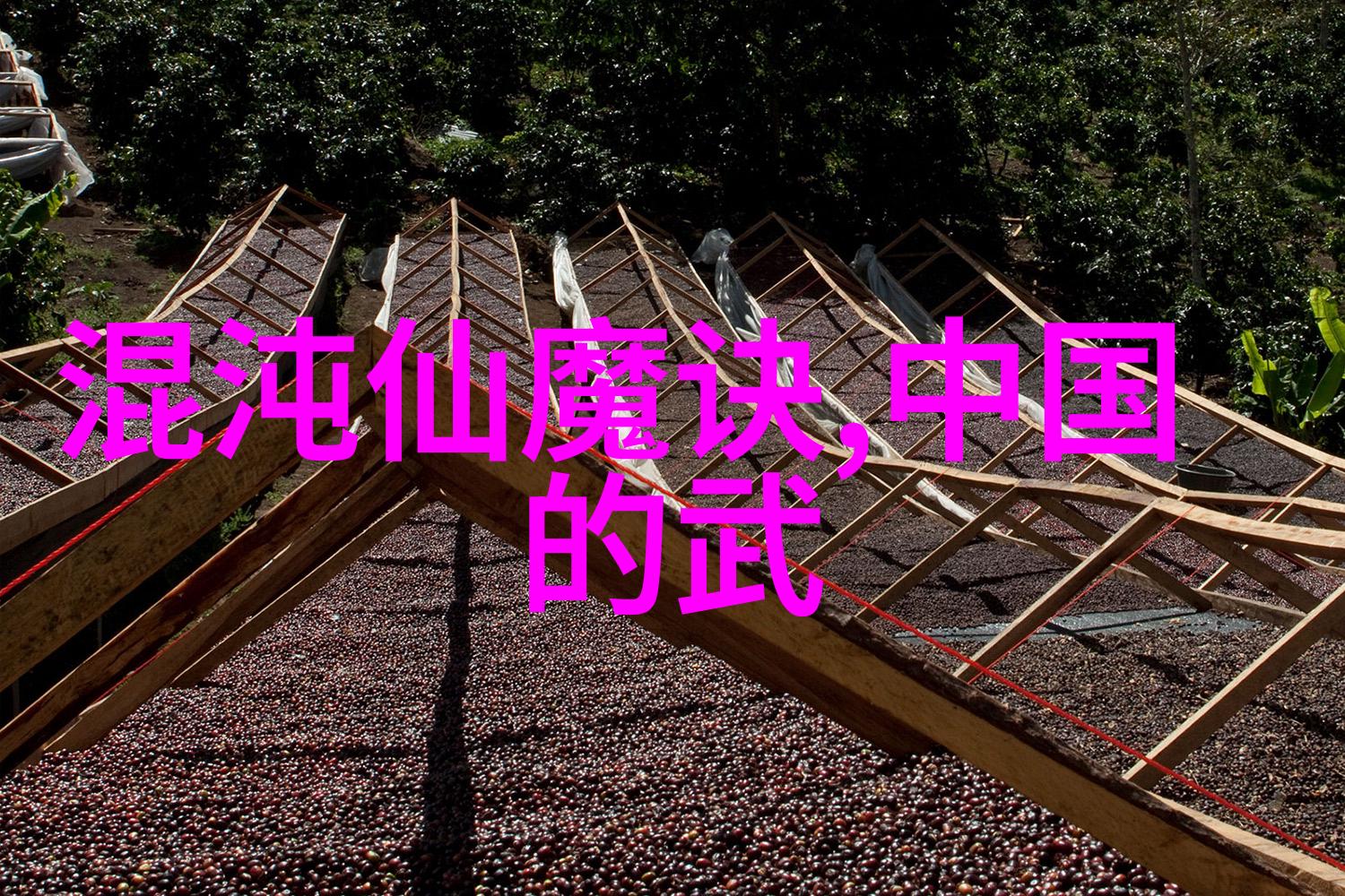 武林门派掌门人古老传统的武学领袖