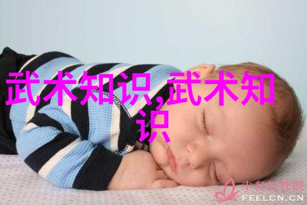 中国武术拳法谱系探究剖析传统与现代拳学的多样性与发展