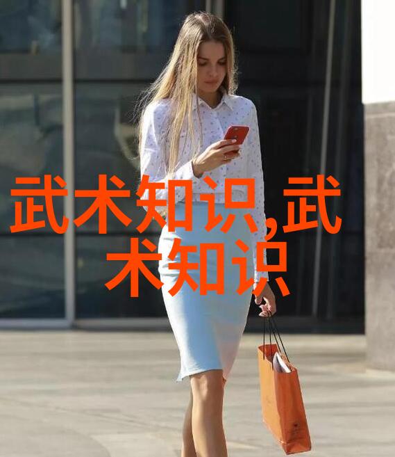 南拳与华拳之争哪种武术更为精湛南拳技巧与华拳艺术的比较