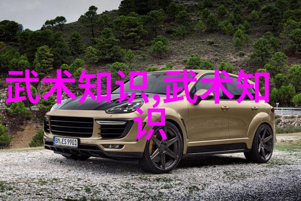 武术舞动左脚尖翩手挥琵琶高飞