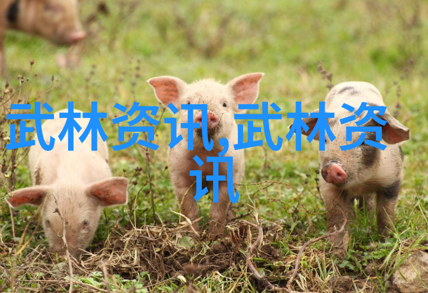 探索中华民族精神的象征那些影响深远的国术比赛有哪些故事