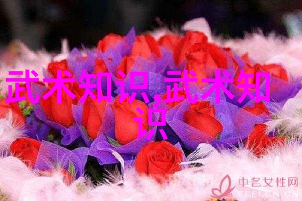 武当山十五代传人之谜揭秘神秘传承者数量
