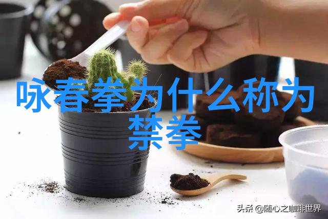 李小龙的功夫教学视频揭秘李小龙教我的武术秘籍打造完美一击