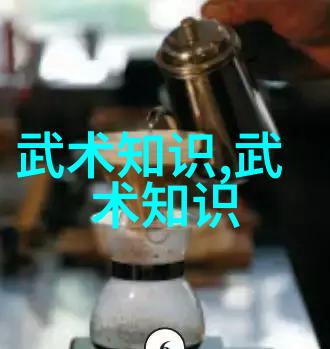 编码历史分析那些早期描述了中华武艺的一本本旧文献