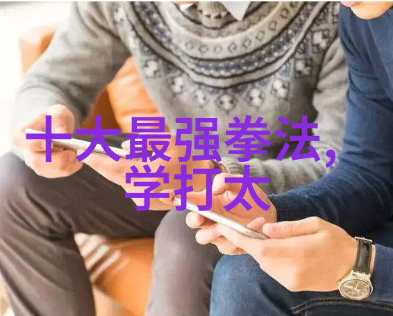 武术活动名称大全古韵舞动的艺术征程