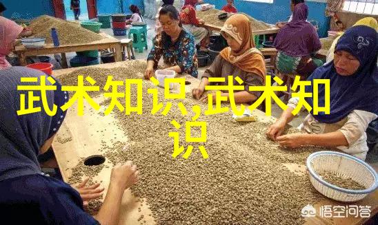 探索奇幻世界我加入的那家带有诗意的公会梦境织女与星辰骑士
