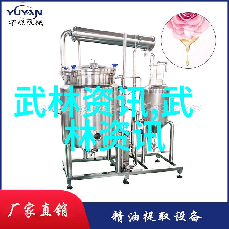 武林秘籍揭秘中华武术门派的古老传承