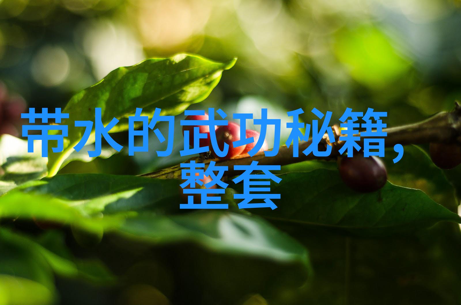 轻功之道探究快速学习技巧与身体素质的相互作用