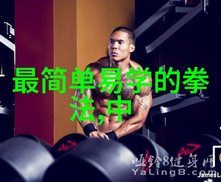 绝世轻功秘籍中的神秘之术