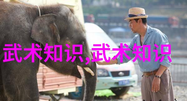 古风帮派之谜背后的儒雅与权力的交织