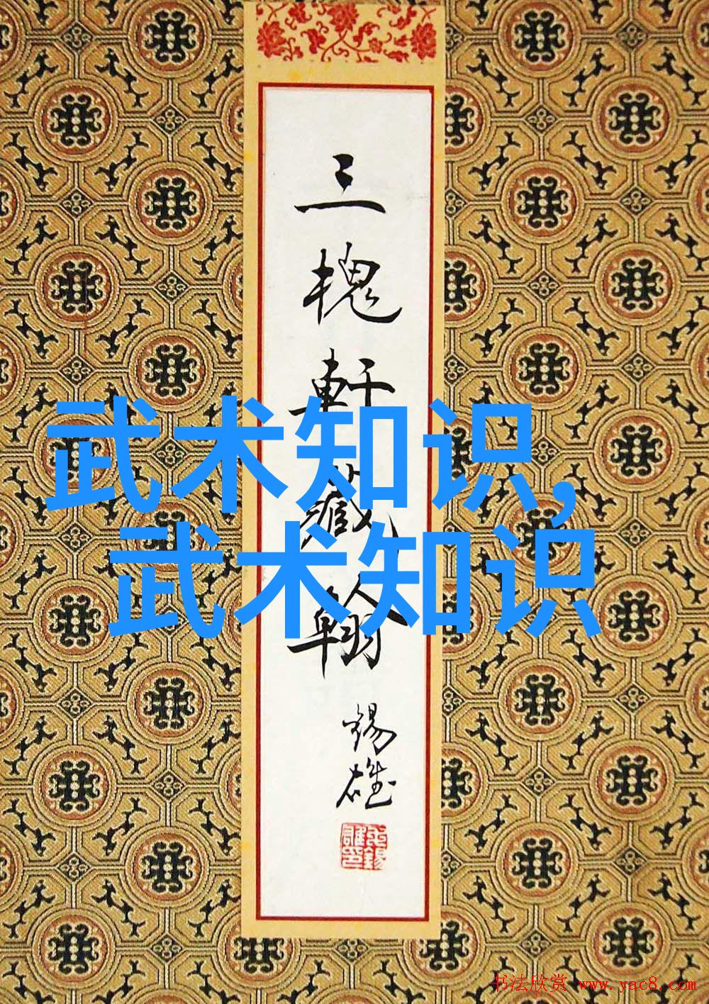 太极拳黏手入门张宝银教授的物品练功法则