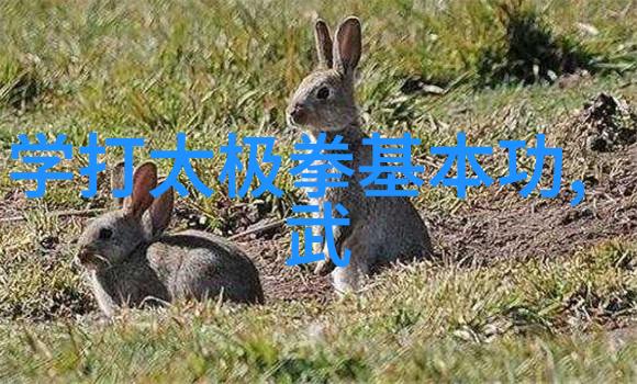 隐私与安全的边界如何在现代社会中平衡自我保护与生活自由