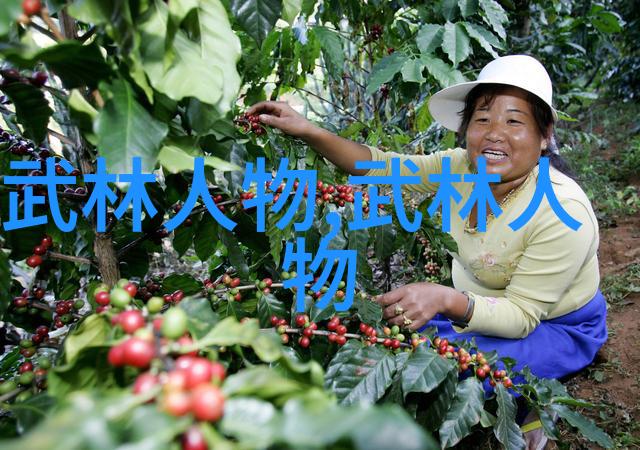 中国武术史上的十大强者揭秘传统功夫的巅峰之作