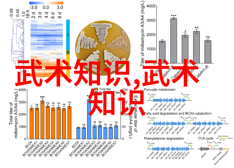 姜可作品全文阅读探索文学世界的无限可能