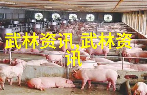 武侠世界里的奇幻技巧我这个现代人可以学会吗