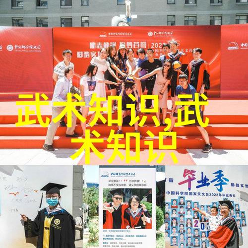 功夫大全招式拳法 - 掌握武林绝技深度解析功夫大全中的精要招式与拳法