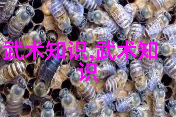 古代最强武功黏手太极拳练功秘籍-张宝银