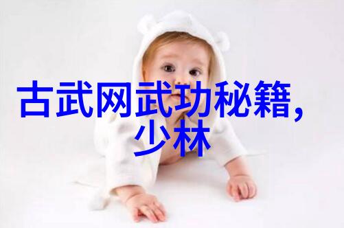 挑战极限体验中华民族精神深入了解中国十大武术