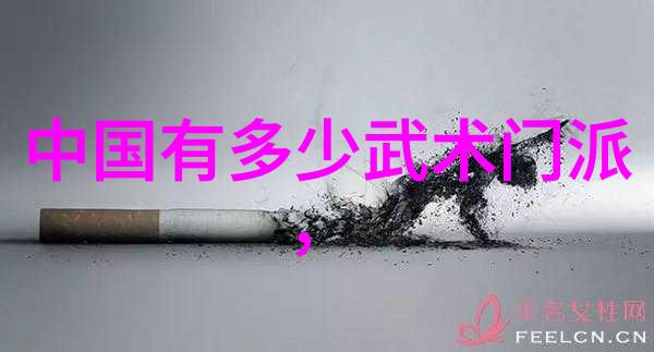 掌握太极精髓简化24式太极拳分解教学全解