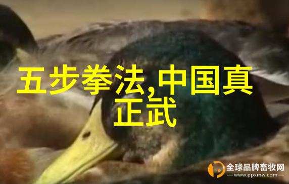 女子修炼的秘密世界探寻全是女子的宗门名字
