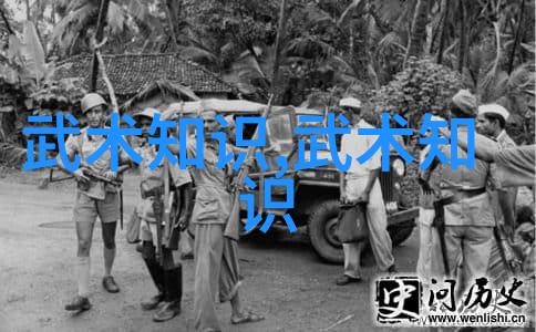 武术学习指南-最佳年龄选择如何在青春年华开启武学之旅
