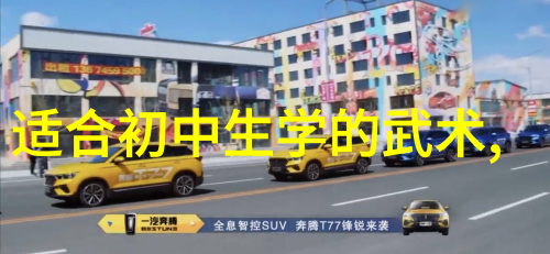 掌握传统智慧48式太极拳全套视频带口令详解