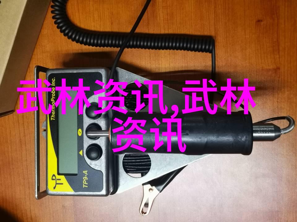 学武术的最佳年龄儿童武术教育青少年武术训练成年人习武体验