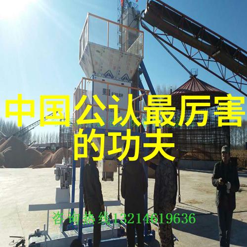 左脚尖舞手挥琵琶功夫怎么练