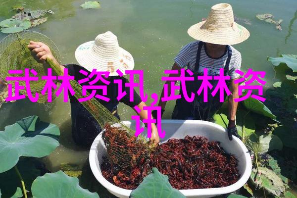 武林八大门派掌门人江湖智者之巅