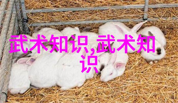 诗意的帮会名古风 - 古韵幽情探索诗意帮会名字的艺术
