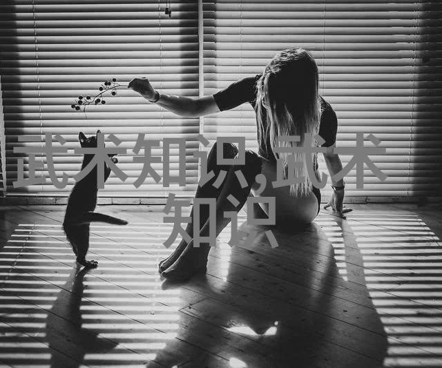 武林秘籍金庸小说中的绝技与招式